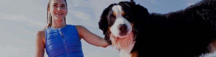 ライフジャケットと犬