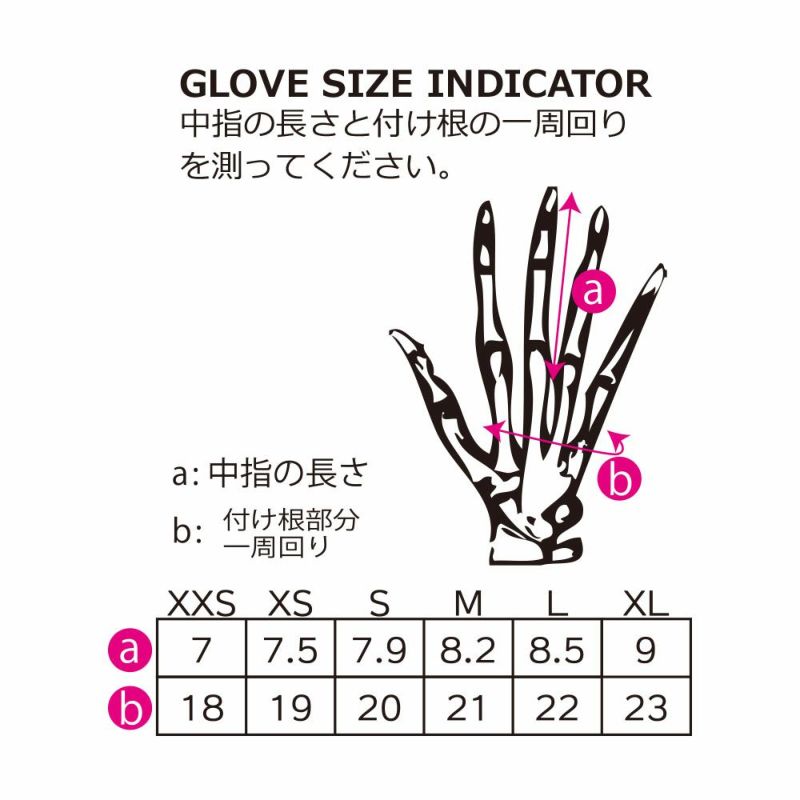 サイズ表